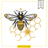 Plotterdatei Biene Wabe The Vectorians