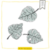 TheVectorians_Plotterdatei Monstera